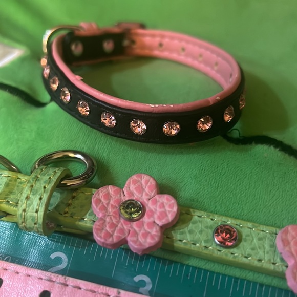 Dog collar lot - Picture 2 of 7